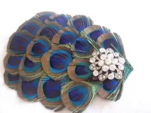 Peacock fascinator